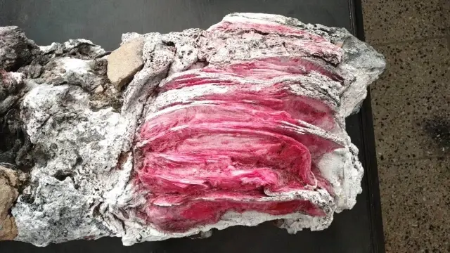 Yüzerken bulduğu kırmızı renkli objenin ne olduğu ortaya çıktı! Yüzerken bulduğu kırmızı renkli objenin ne olduğu ortaya çıktı!