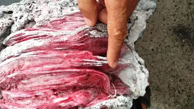 Yüzerken bulduğu kırmızı renkli objenin ne olduğu ortaya çıktı! Yüzerken bulduğu kırmızı renkli objenin ne olduğu ortaya çıktı!