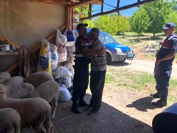 Kaybolan 25 koyunu jandarma buldu