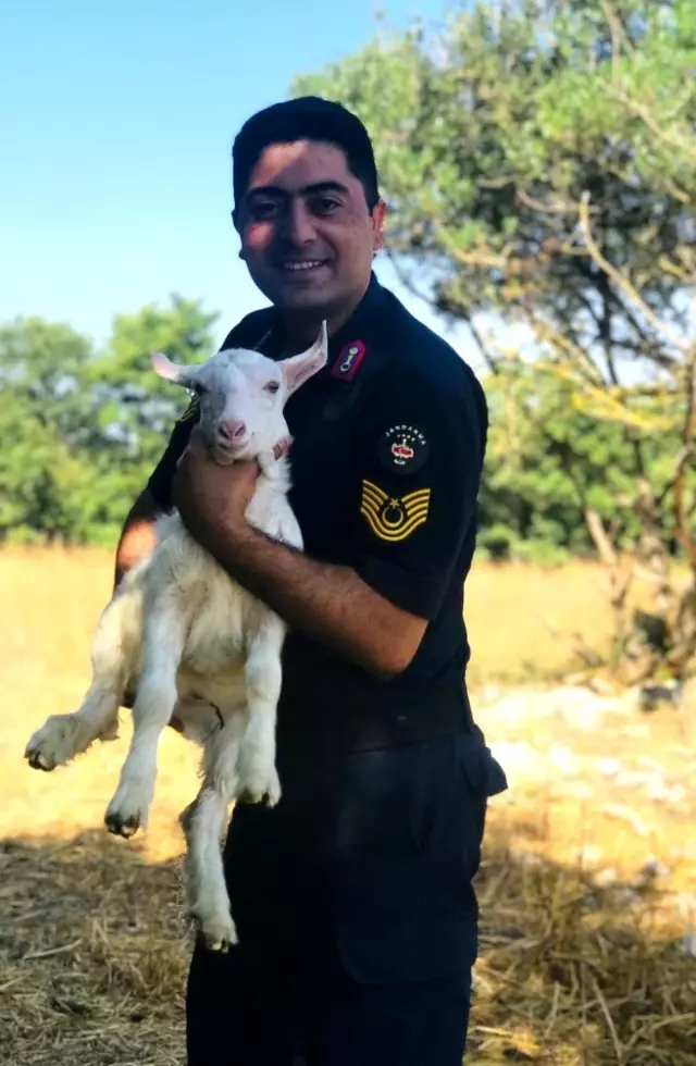 Kayıp hayvanlar drone'la bulundu