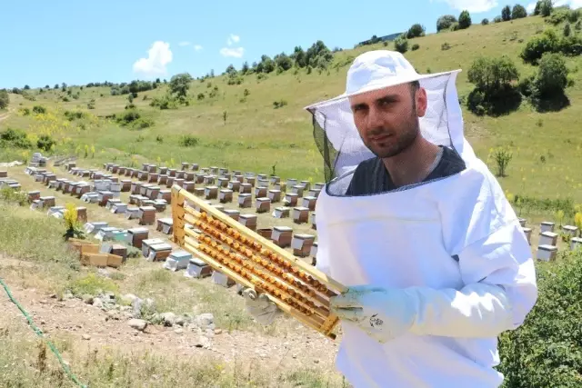 Kilosu 8 bin liraya satılan arı sütünde taleplere yetişemiyor