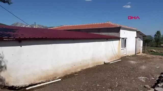 Muğla'da çalıştıkları besi çiftliği sahibine dehşet yaşatan 2 çoban İstanbul'da yakalandı