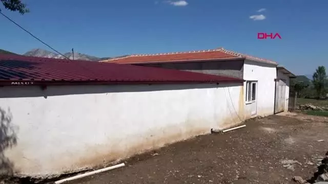Muğla'da çalıştıkları besi çiftliği sahibine dehşet yaşatan 2 çoban İstanbul'da yakalandı