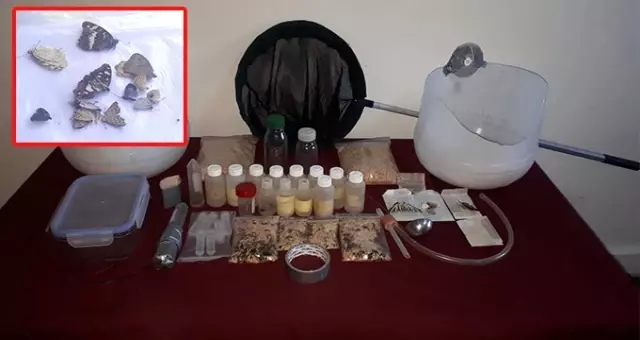 Yurt dışına kaçırmak amaciyla kelebek ve haşere toplayan iki profesör suçüstü yakalandı