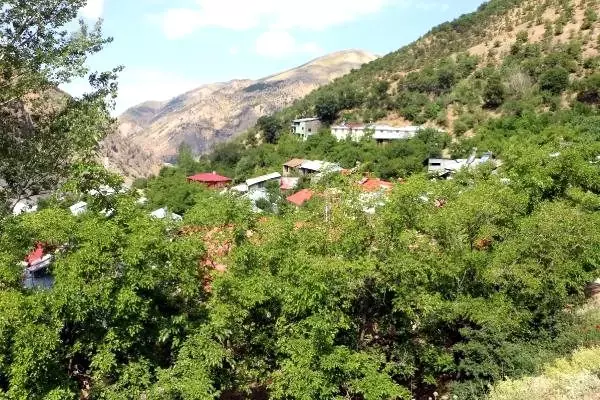 Başbağlar köyünde katledilen 33 kişi dualarla anıldı Başbağlar köyünde katledilen 33 kişi dualarla anıldı