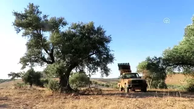 Rejim İdlib'e saldırılarında ağır kayıplar verdi