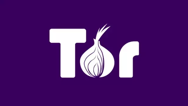 tor onion project