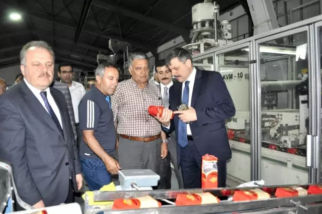 Vali Çiftçi Sungurlu'da fabrikaları gezdi Vali Çiftçi Sungurlu'da fabrikaları gezdi