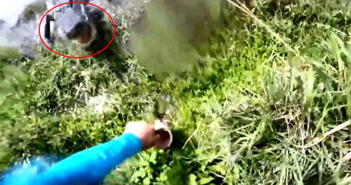 Balık tutmak için göl kenarına giden balıkçı, timsaha yem olmaktan son anda kurtuldu