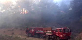 'Orman yangınlarının yüzde 80'i insanlardan kaynaklı'