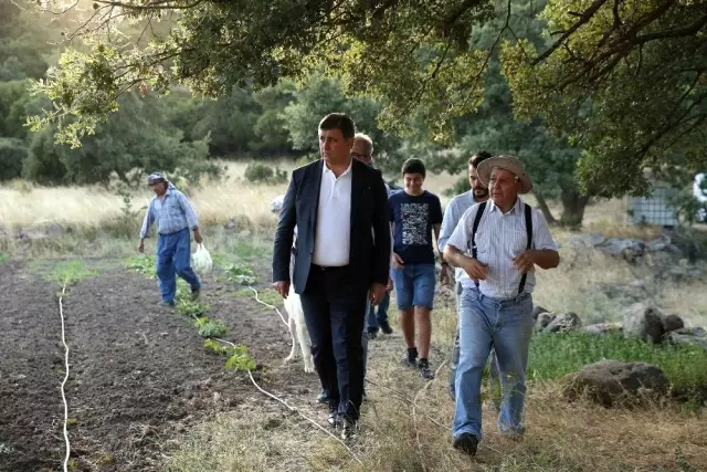 Yamanlar Domatesi tezgahlara dönüyor Yamanlar Domatesi tezgahlara dönüyor