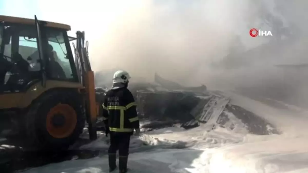 Fethiye'de yangın, zeytinlik ve kereste deposu kül oldu