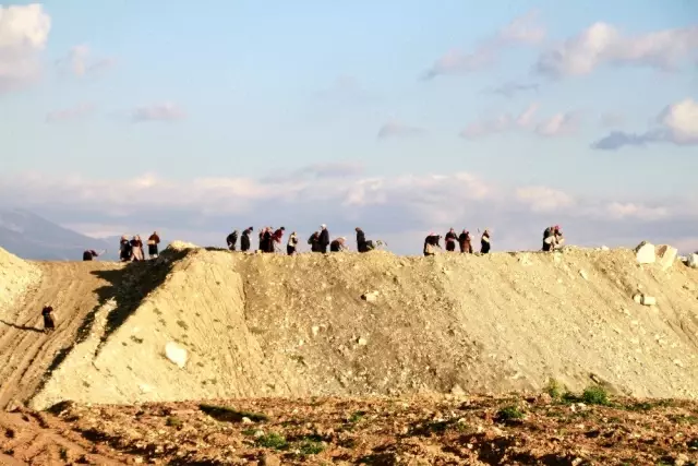(Özel) Maden sahalarından 1 milyon fidan fışkıracak