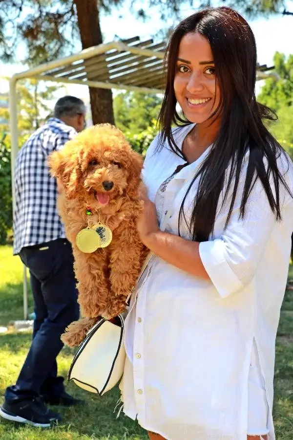 Samsun�da �köpek güzellik yarışması� düzenlendi Samsun