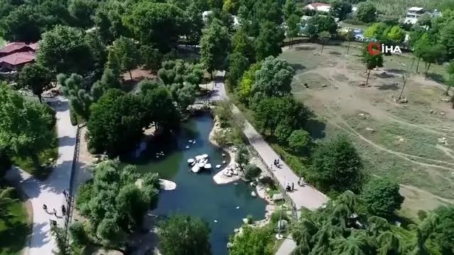 Sıcaktan bunalan hayvanlara buzlu meyve Sıcaktan bunalan hayvanlara buzlu meyve