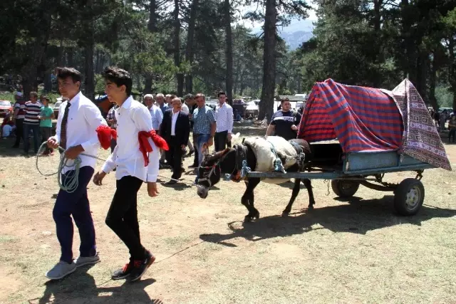 Beyşehir'de 16. Geleneksel Anamas-Dedegöl Kültür Şenlikleri yapıldı