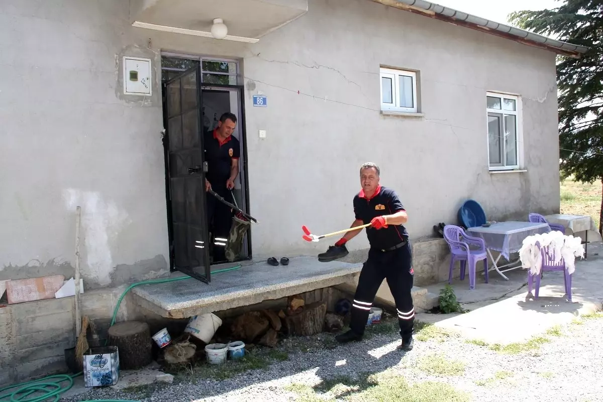 Eve giren yılanı itfaiye çıkardı