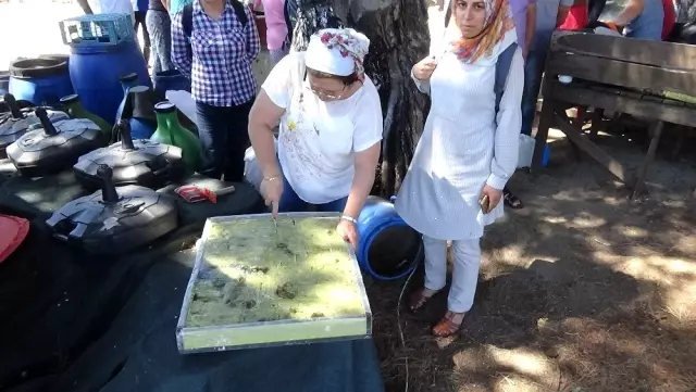 Kazdağları'nda Alman turistler geleneksel zeytinyağı sabunu yapmayı öğrendiler Kazdağları'nda Alman turistler geleneksel zeytinyağı sabunu yapmayı öğrendiler