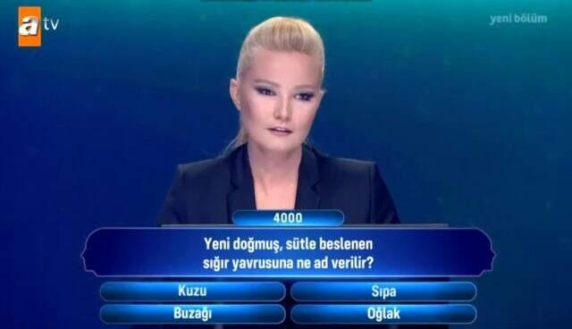 Müge Anlı'nın programında 'Sığır yavrusu' sorusunu bilemeyen yarışmacılar tiye alındı