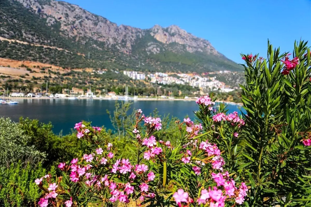 Kaş sokakları rengarenk