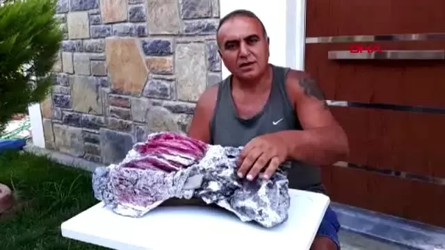 MUĞLA Deniz dibinde bulduğu cisme bilimsel açıklama bekliyor MUĞLA Deniz dibinde bulduğu cisme bilimsel açıklama bekliyor
