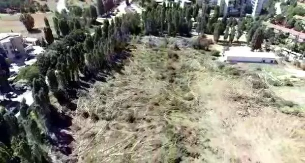 ODTÜ'de, ağaçların kesildiği alan havadan görüntülendi ODTÜ'de, ağaçların kesildiği alan havadan görüntülendi