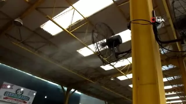 Pazarda kurulan serinletme sisteminden hem pazarcılar hemde vatandaşlar memnun Pazarda kurulan serinletme sisteminden hem pazarcılar hemde vatandaşlar memnun