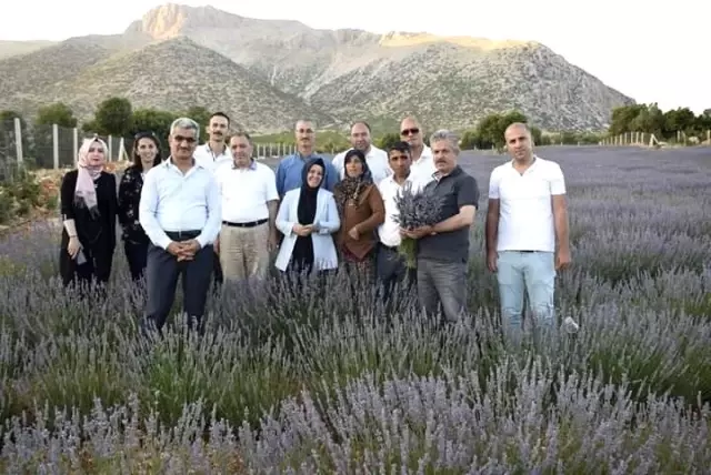 Siirtli öğrenciler Elmalı'da tarım işletmelerini inceledi
