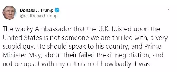 Trump: Bana, büyükelçinin 'görkemli bir aptal' olduğu söylendi