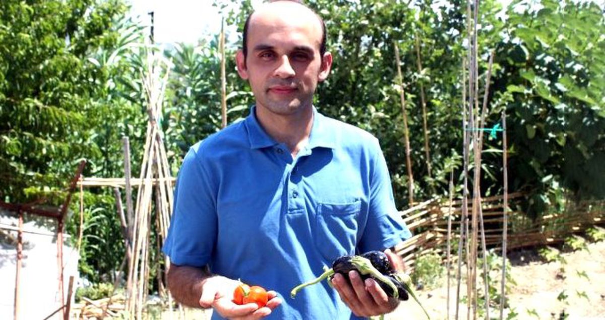 İçini açan şaşkına dönüyor! Dışı domates, içi patlıcan