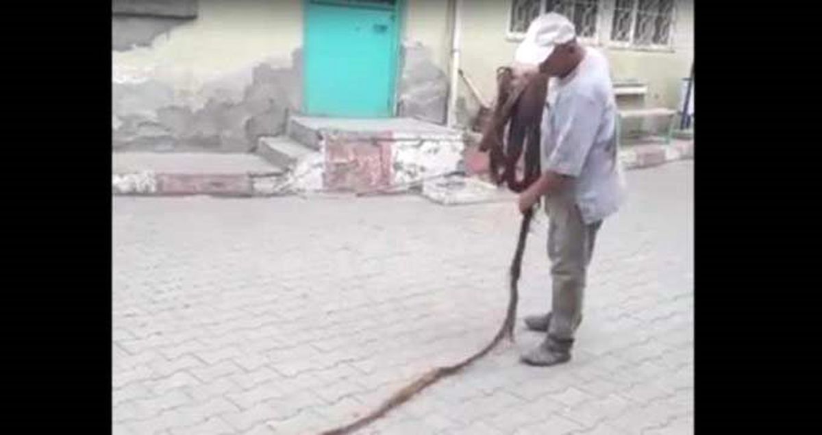 İçme suyu borusundan 9 metrelik ağaç kökü çıktı
