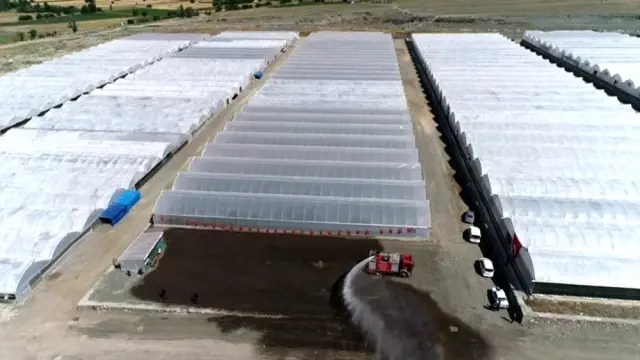 Ahıskalılar seradan ilk mahsulü aldı Ahıskalılar seradan ilk mahsulü aldı