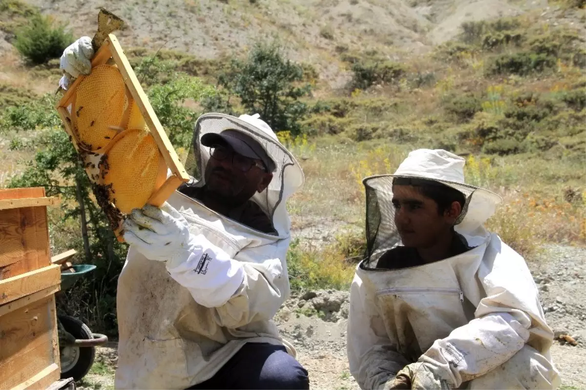 Bal üretimi bu sene yüzde 150 artacak