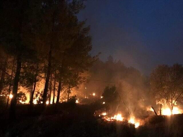 Dalaman'daki orman yangının görüntüleri