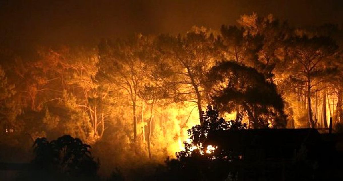 Muğla'daki orman yangınının görüntüleri