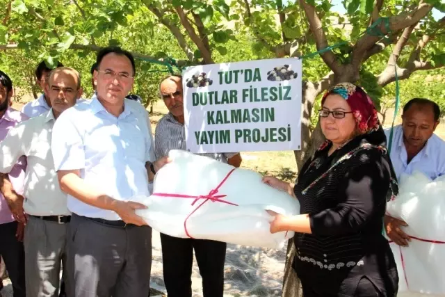 Dut üreticilerine dut filesi