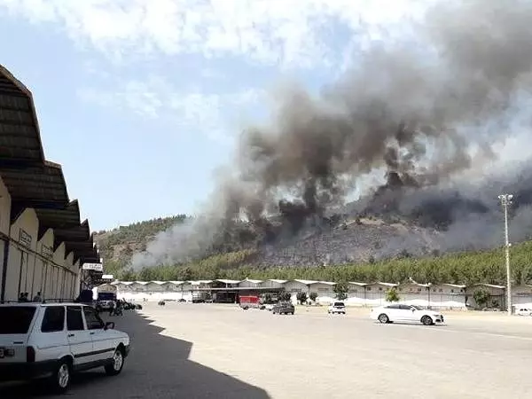 Fethiye'de ormanlık alanda yangın çıktı Fethiye'de ormanlık alanda yangın çıktı