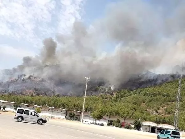 Fethiye'de ormanlık alanda yangın çıktı Fethiye'de ormanlık alanda yangın çıktı