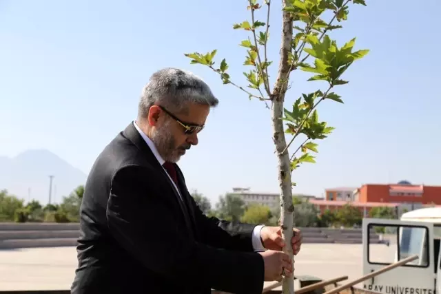 Hocaların hocası onuruna çınar fidanı dikildi Hocaların hocası onuruna çınar fidanı dikildi