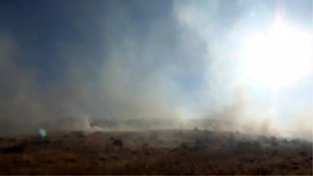 Siirt'te fıstık bahçesi ve buğday tarlasında yangın