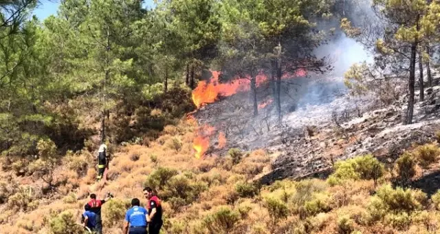 Fethiye'de ormanlık alanda yangın çıktı