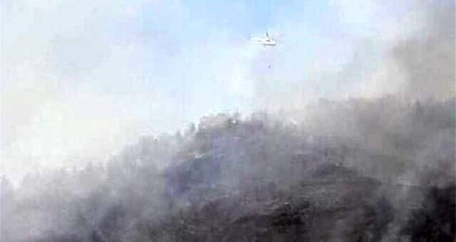 Son dakika! Fethiye'de ormanlık alanda yangın çıktı