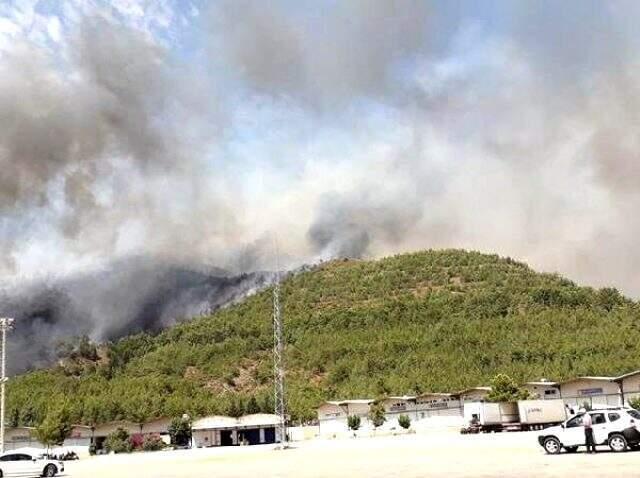 Son dakika! Fethiye'de ormanlık alanda yangın çıktı