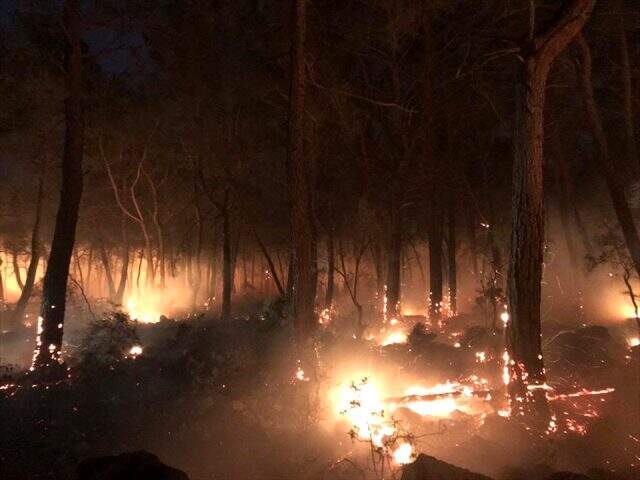 Son dakika! Muğla Dalaman'da 18 saat süren yangınla ilgili Bakan Pakdemirli'den açıklama