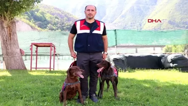 Narkotik köpeği Vuslat, emekliliğini deniz kıyısında kutladı Narkotik köpeği Vuslat, emekliliğini deniz kıyısında kutladı