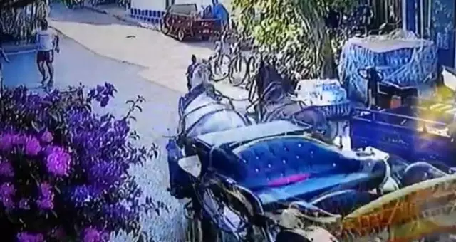Büyükada'da fayton paniği! Bir anda koşmaya başlayan atlar tehlike saçtı