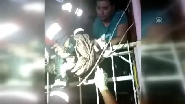 Denizli'de korkuluk demirine saplanan kediyi itfaiye kurtardı