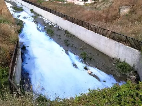 Tekirdağ'daki Kavak Deresi'ne kimyasal karıştı