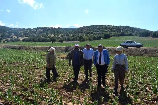 Kaymakam Soley başarılı öğrenciyi tarlada ziyaret etti Kaymakam Soley başarılı öğrenciyi tarlada ziyaret etti