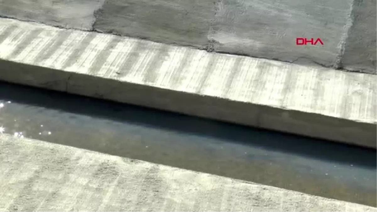 TEKİRDAĞ Kavak Deresi'ne kimyasal karıştığı iddiası